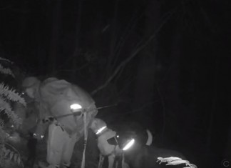 Mulher é apanhada em flagrante a colocar armadilhas em trilhos