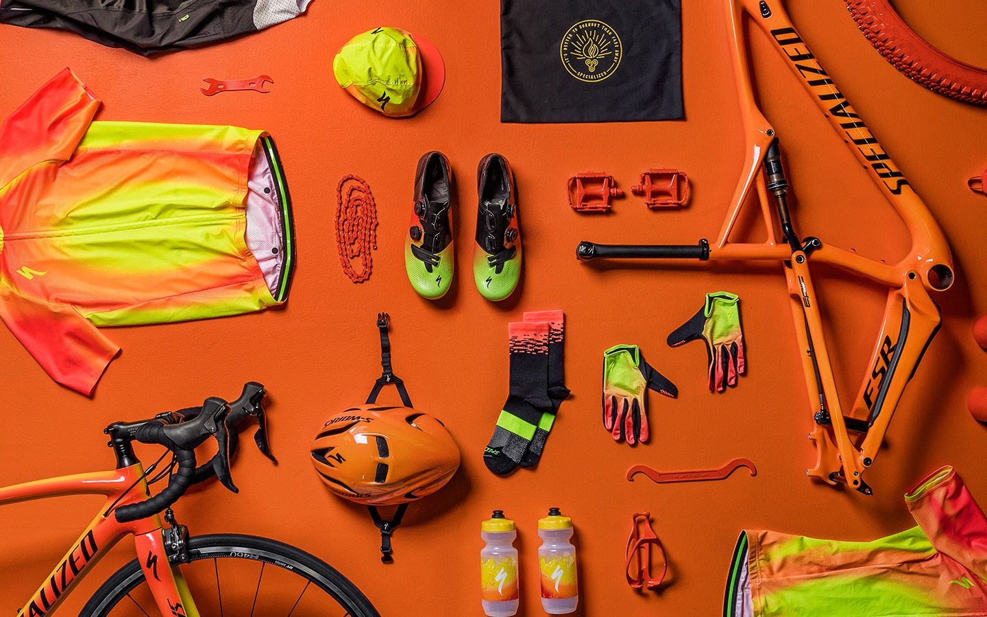 specialized_torch_componentes