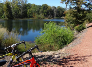 Federação Portuguesa de Ciclismo criou a Comissão Trilhos e Natureza